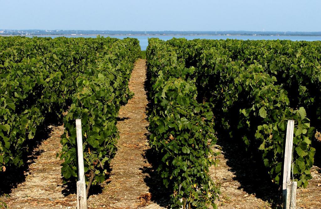 Vvf Villages   La Du Médoc